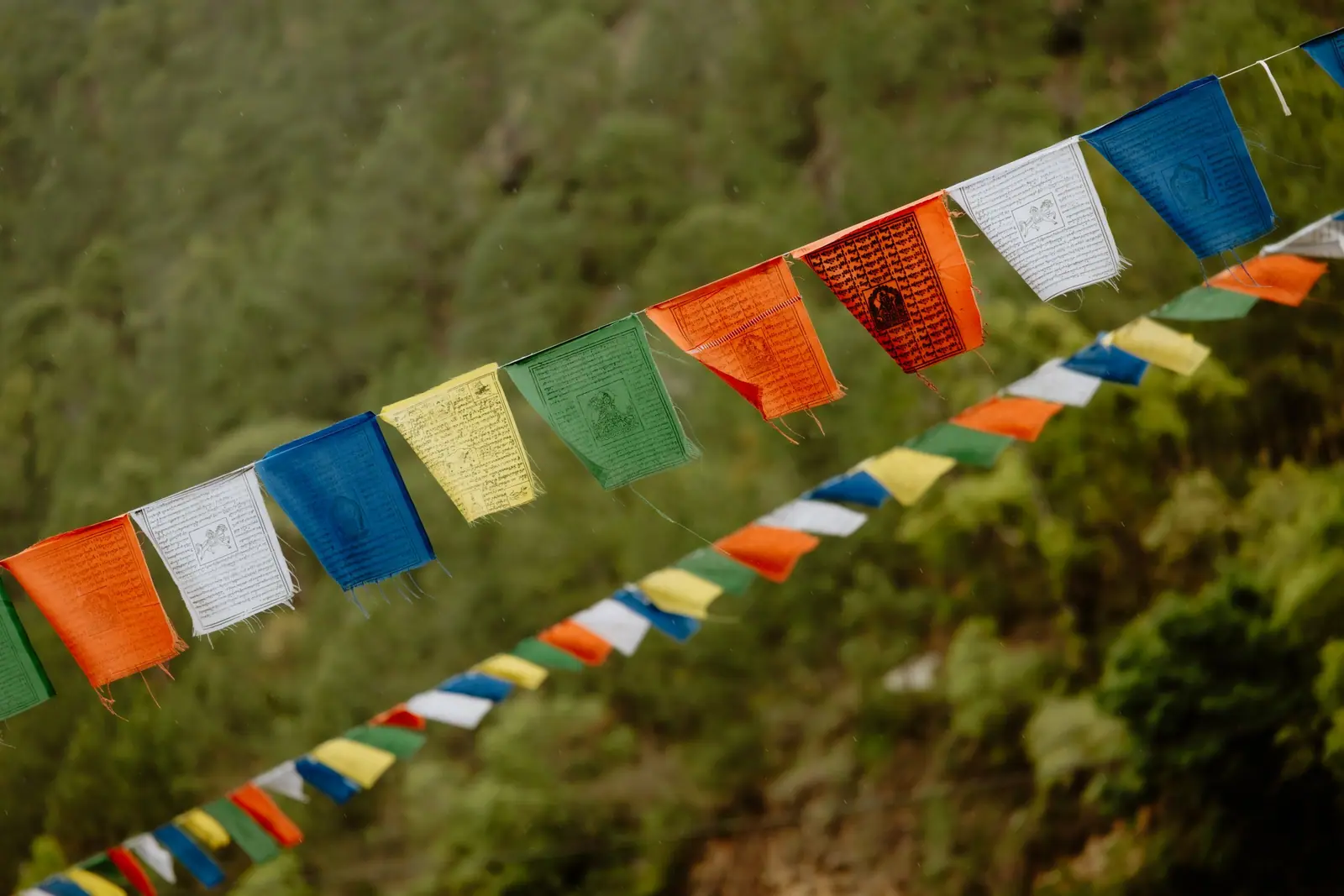 Strings of red, blue, yellow, white and green prayer flags across a forested hillside