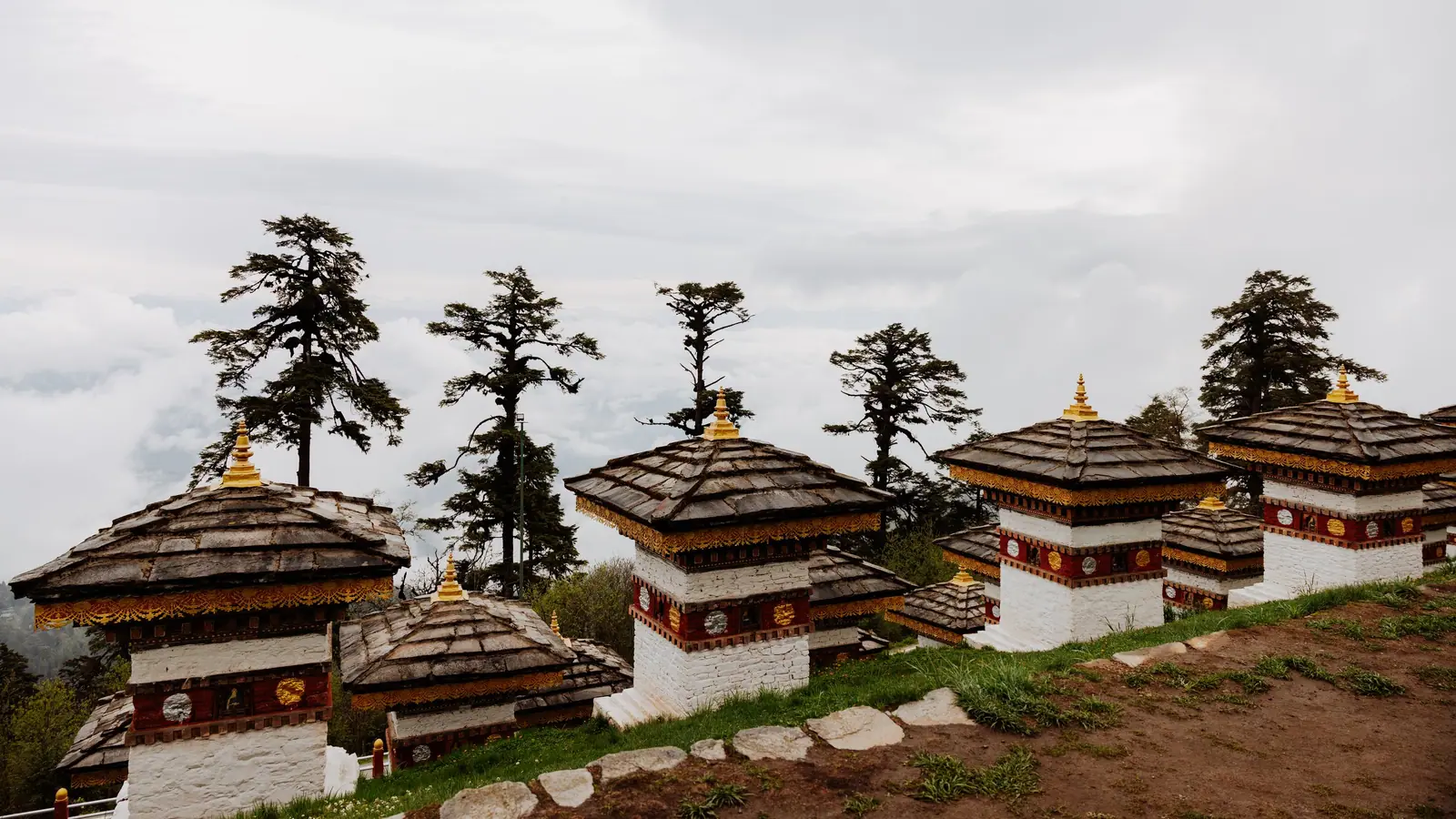 Rows of white chortens at Dochula Pass beneath tall conifers on a grey day
