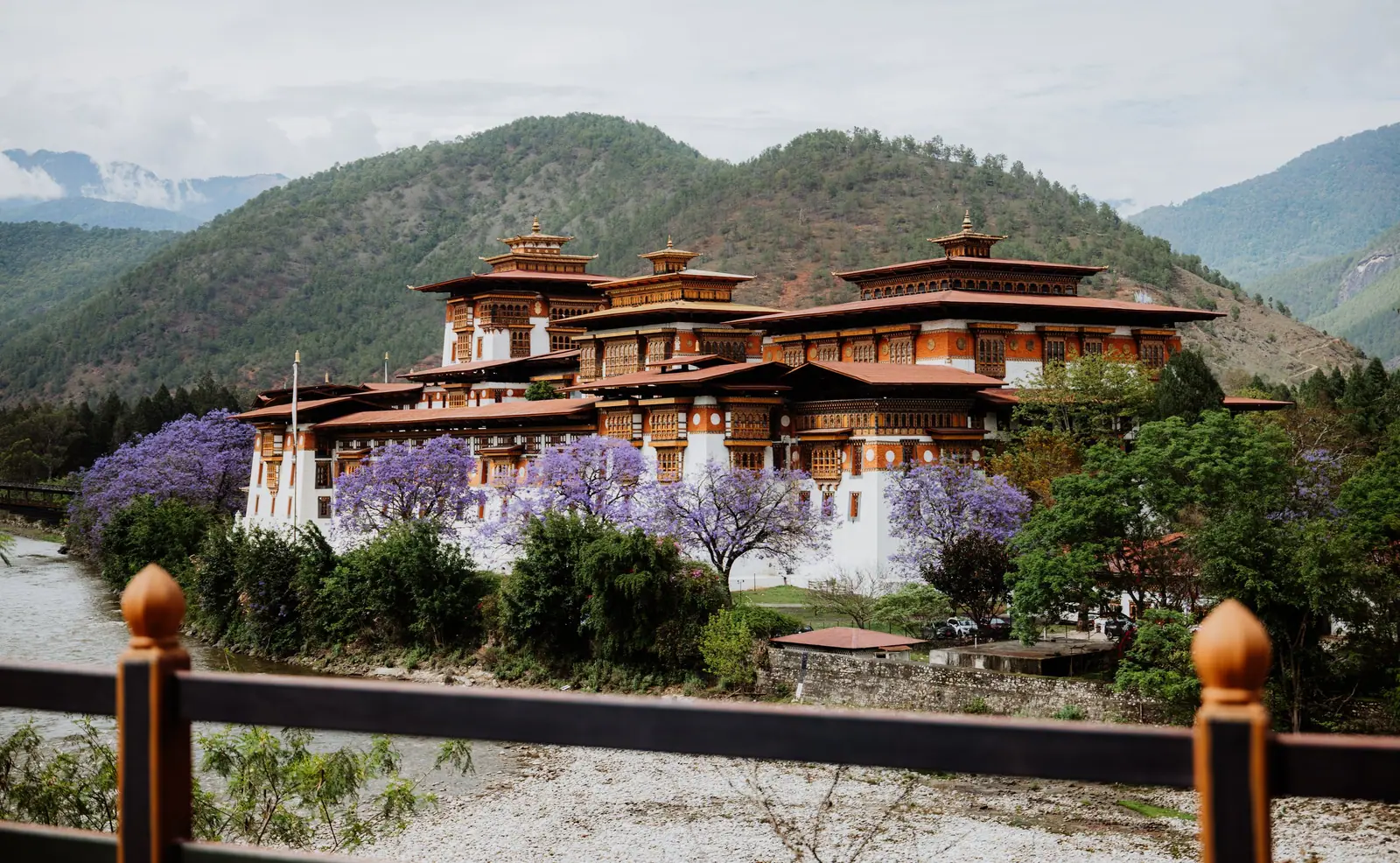 Punakha Dzong beyond the river, seen over a carved wooden railing with jacaranda trees in flower