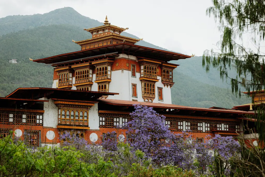 Punakha Dzong with whitewashed walls and tiered roofs, framed by purple jacaranda blossoms and green hills