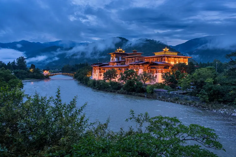 Punakha Dzong beside the river, with jacaranda trees in the foreground